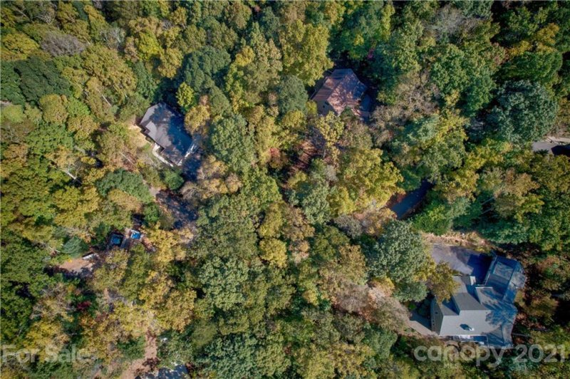 Property image 4 at 99999 Buffalo Trail, Asheville, NC 28805