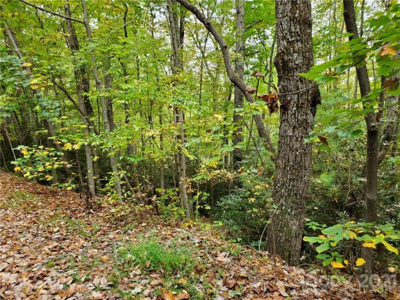 Property image 3 at Tract 2 Foxwood Drive, Hendersonville, NC 28791