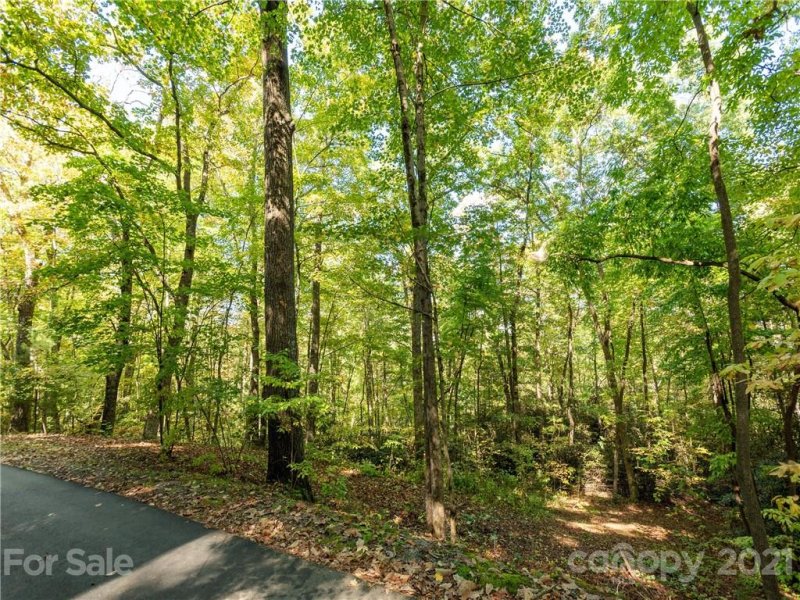Property image 5 at Tract 2 Foxwood Drive, Hendersonville, NC 28791