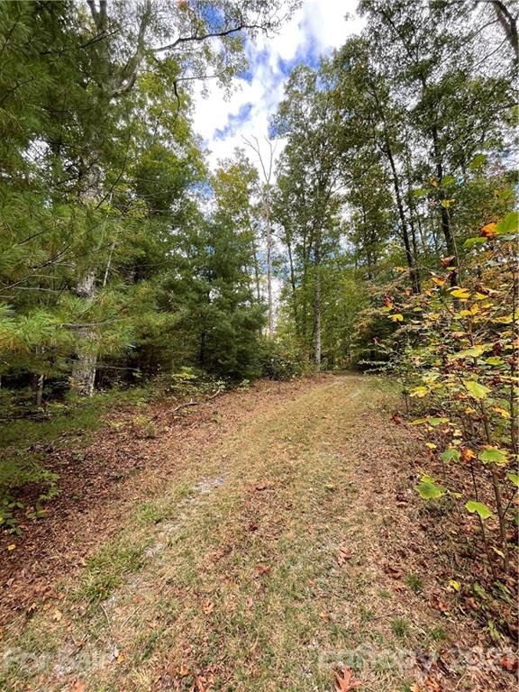 Property image 2 at 343 Camp Cove Road, Zirconia, NC 28790