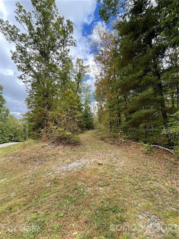 Property image 3 at 343 Camp Cove Road, Zirconia, NC 28790