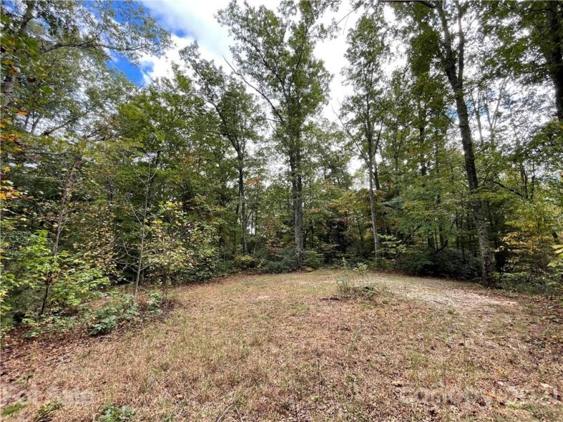 Property image 4 at 343 Camp Cove Road, Zirconia, NC 28790