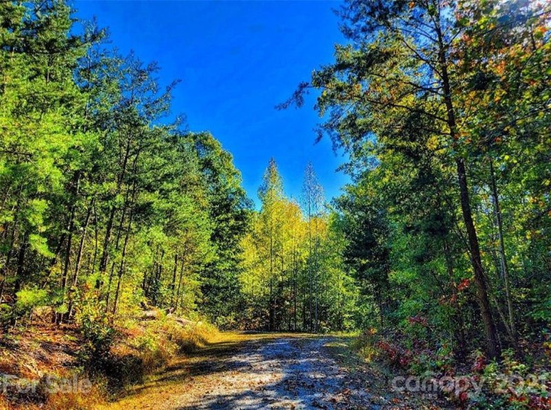 Property image 3 at 62 Bramblewood Drive, Rutherfordton, NC 28139