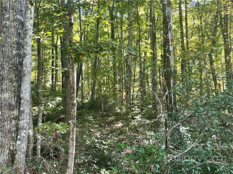Property image 4 at 0 S Poplar Drive, Lake Lure, NC 28746