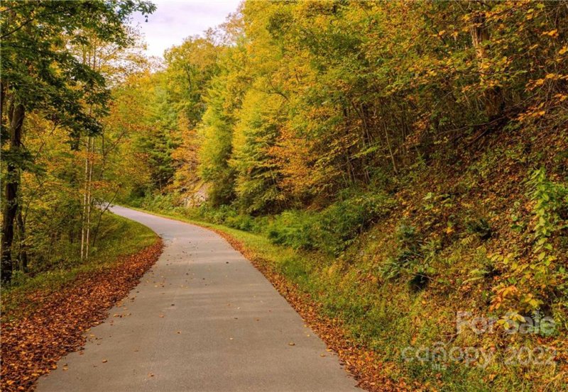 Property image 5 at Tbd Mchone Road, Spruce Pine, NC 28777