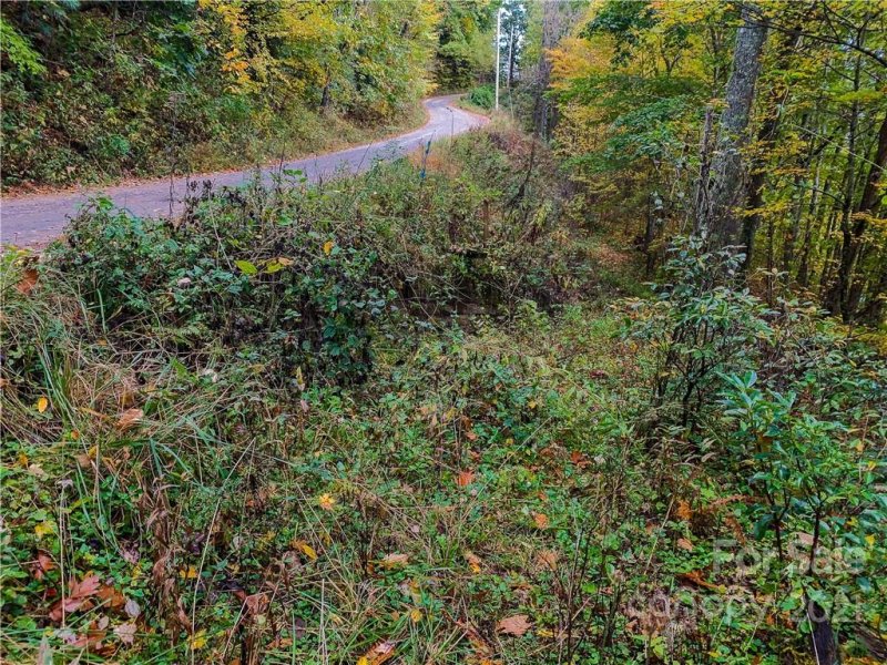 Property image 5 at 19 Huckleberry Drive, Maggie Valley, NC 28751