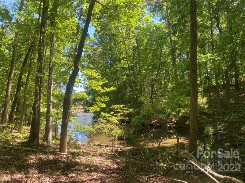 Lot 79 Tealwood Court