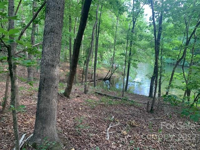 Property image 4 at Lot 81 Brightwood Court, Norwood, NC 28128