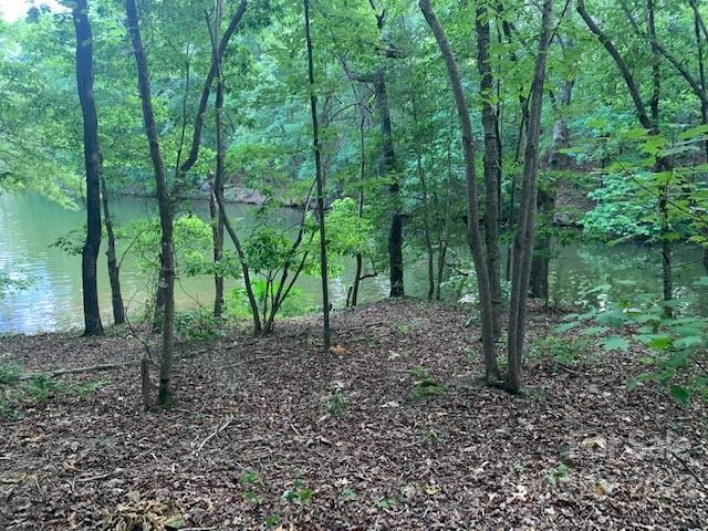 Property image 5 at Lot 81 Brightwood Court, Norwood, NC 28128