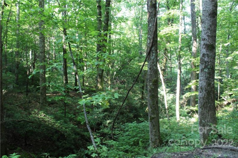 Property image 2 at 2 6 Acres Lakeview Drive, Tryon, NC 28782