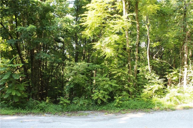 Property image 4 at 2 6 Acres Lakeview Drive, Tryon, NC 28782