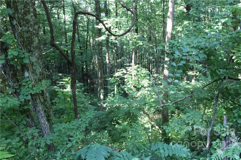 Property image 5 at 2 6 Acres Lakeview Drive, Tryon, NC 28782