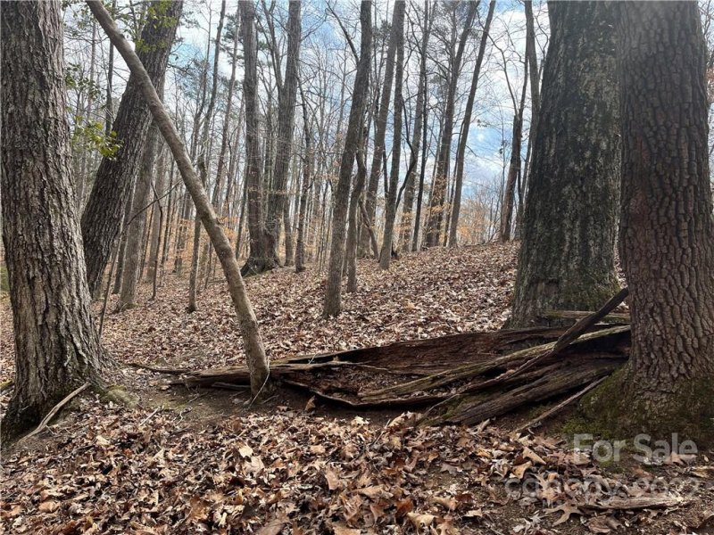 Property image 3 at Lot 89 Brightwood Court, Norwood, NC 28128