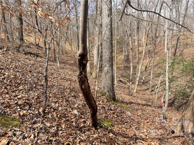 Property image 4 at Lot 89 Brightwood Court, Norwood, NC 28128