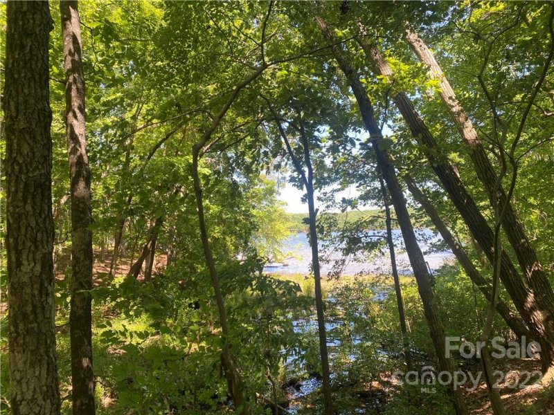 Property image 4 of Lot 90 Edgewater Drive in Edgewater, Norwood, NC 28128