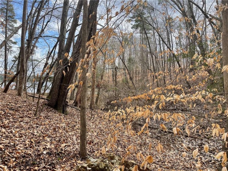 Property image 3 of Lot 91 Tidewater Court in Edgewater, Norwood, NC 28128