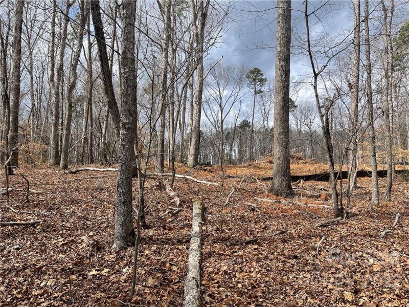 Property image 3 at Lot 93 Tidewater Court, Norwood, NC 28128