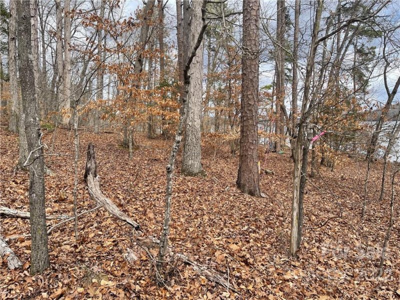 Property image 5 at Lot 93 Tidewater Court, Norwood, NC 28128