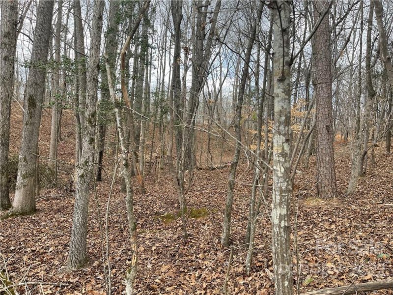 Property image 3 at Lot 97 Edgewater Drive, Norwood, NC 28128