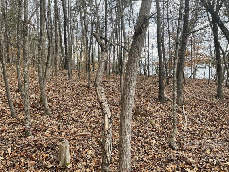 Property image 4 at Lot 97 Edgewater Drive, Norwood, NC 28128