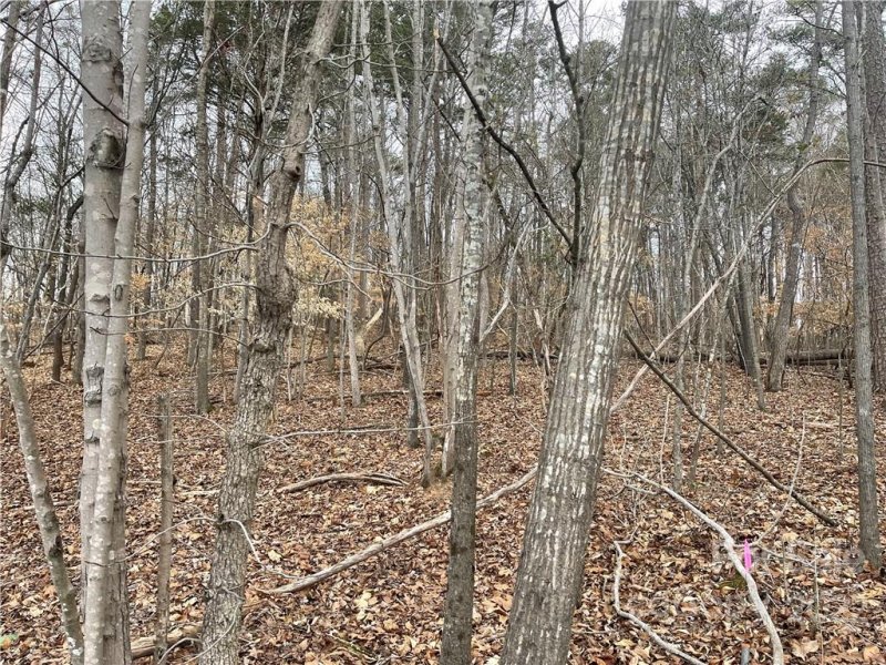 Property image 5 at Lot 97 Edgewater Drive, Norwood, NC 28128