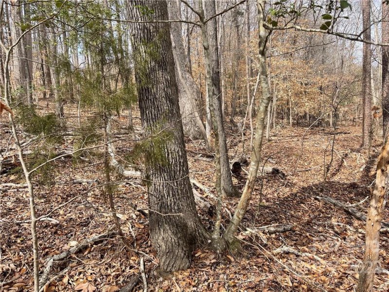 Property image 5 at Lot 101 Edgewater Drive, Norwood, NC 28128