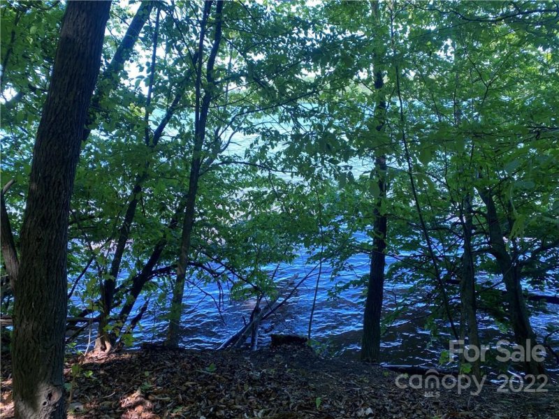 Property image 3 at Lot 103 Edgewater Drive, Norwood, NC 28128