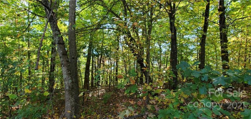 Property image 2 at 0 Pinnacle Parkway, Union Mills, NC 28167