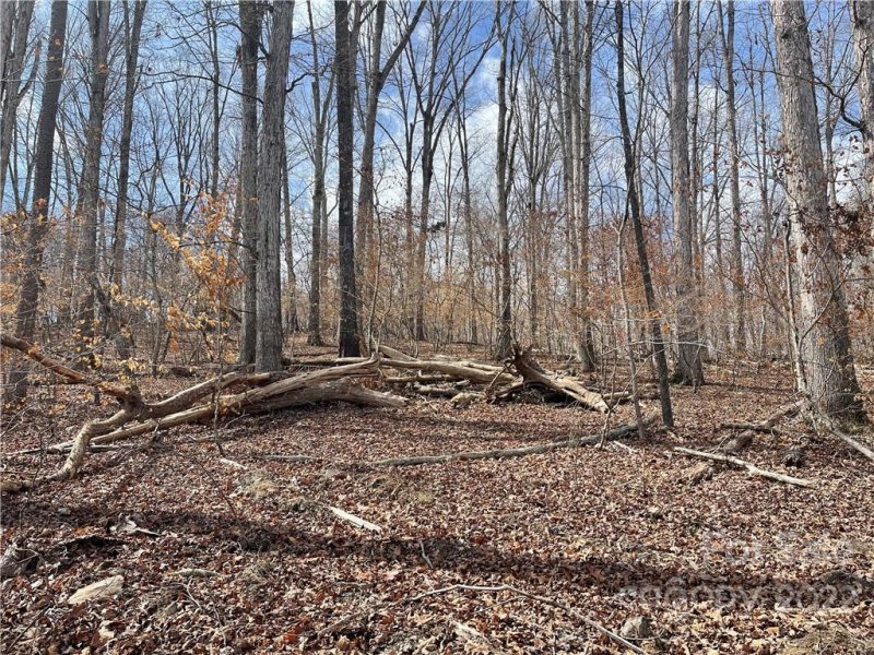 Property image 4 at Lot 105 Edgewater Drive, Norwood, NC 28128