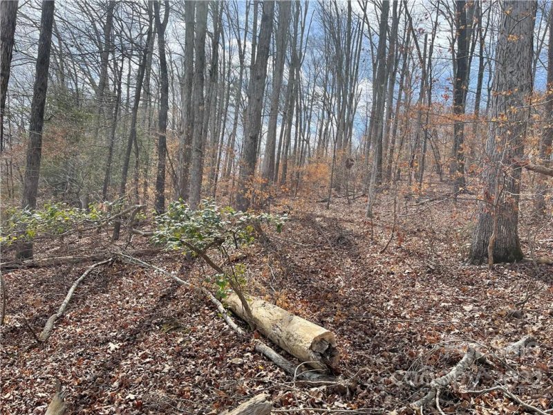 Property image 5 at Lot 105 Edgewater Drive, Norwood, NC 28128