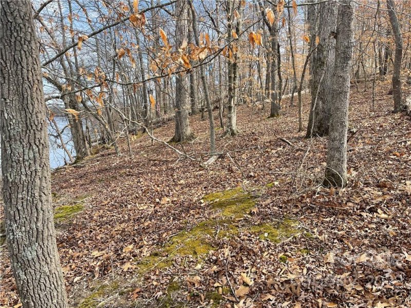 Property image 5 at Lot 115 Bridgeview Court, Norwood, NC 28128