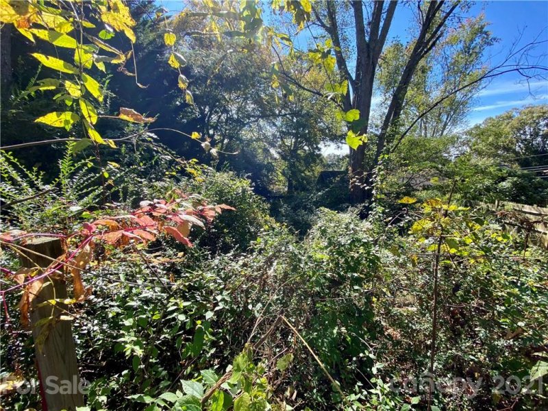 Property image 5 at 60 Harvard Place, Asheville, NC 28806