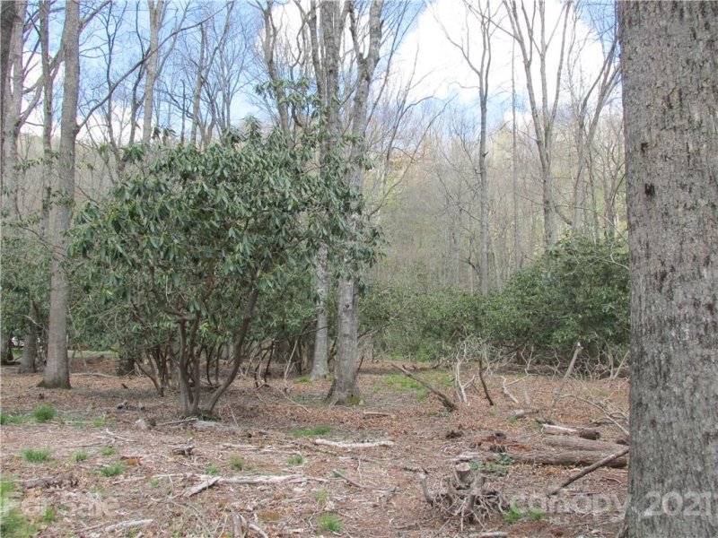 Property image 2 at 00 Brookwood Lane, Burnsville, NC 28714