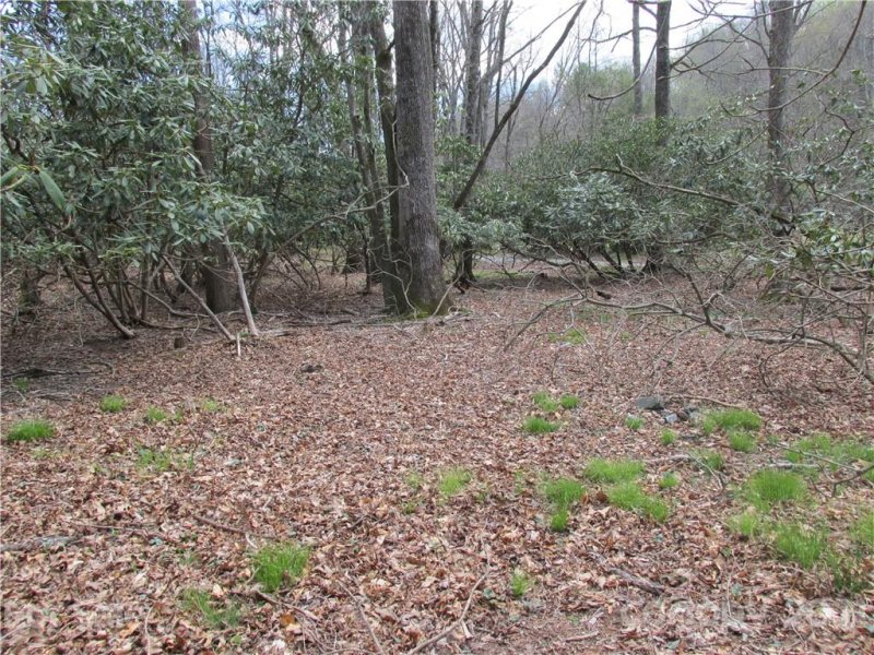 Property image 3 at 00 Brookwood Lane, Burnsville, NC 28714