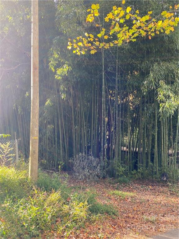 Property image 2 at 99999 S Oconeechee Avenue, Black Mountain, NC 28711