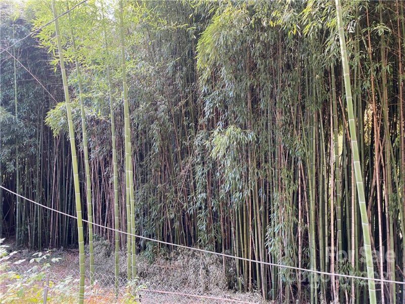 Property image 3 at 99999 S Oconeechee Avenue, Black Mountain, NC 28711