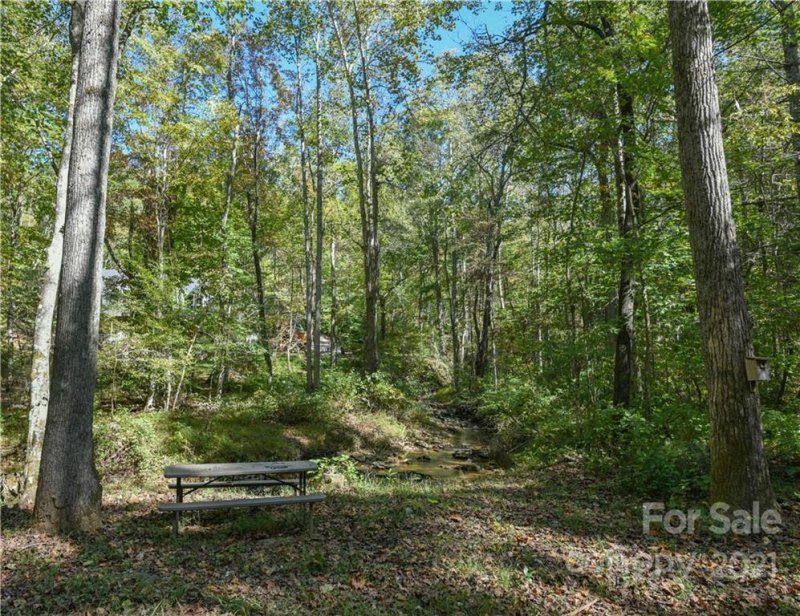 Property image 5 at 218 Rixhaven Drive, Saluda, NC 28773