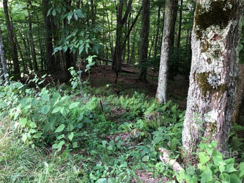 Property image 4 at Tbd May Apple Lane, Mars Hill, NC 28754