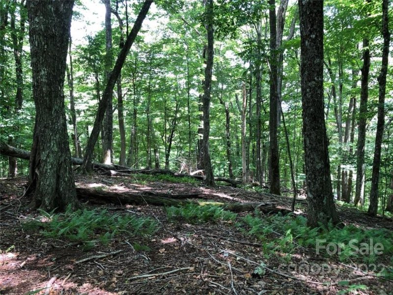 Property image 5 at Tbd May Apple Lane, Mars Hill, NC 28754