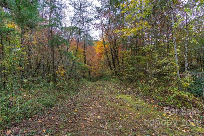 Property image 2 at 99999 Trillium Lane, Lake Lure, NC 28746
