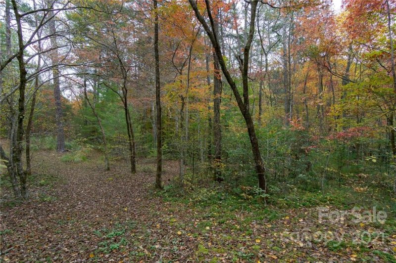 Property image 3 at 99999 Trillium Lane, Lake Lure, NC 28746