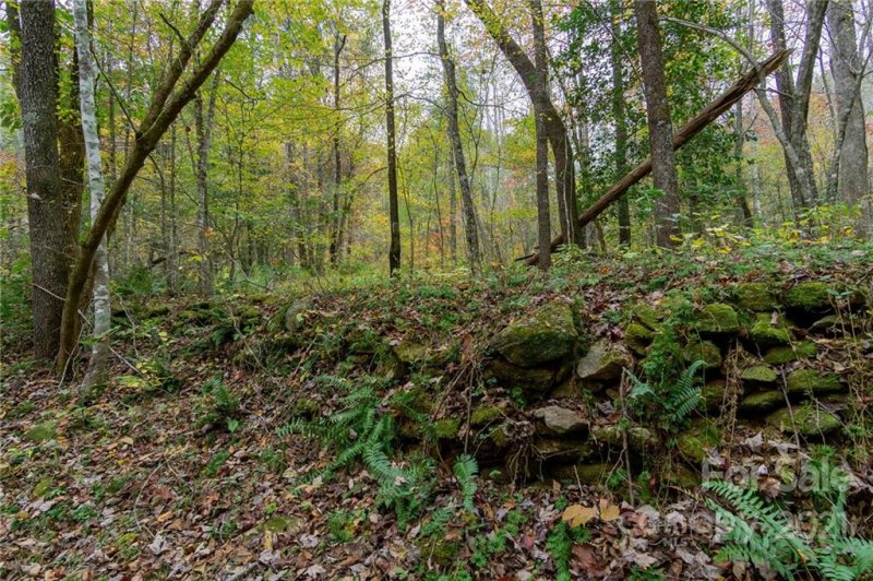 Property image 4 at 99999 Trillium Lane, Lake Lure, NC 28746