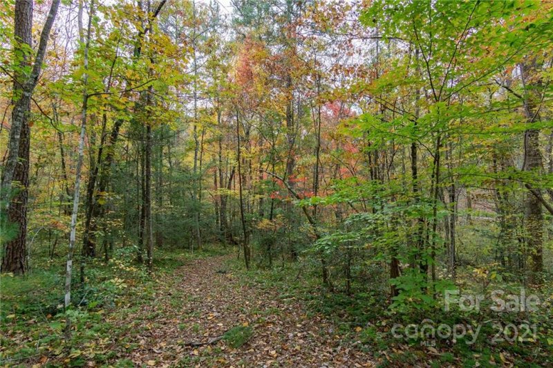 Property image 5 at 99999 Trillium Lane, Lake Lure, NC 28746