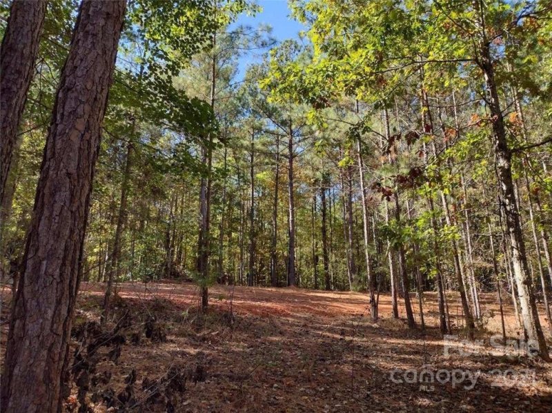 Property image 4 at 5036 Waxhaw Crossing Waxhaw Crossing Drive, Waxhaw, NC 28173