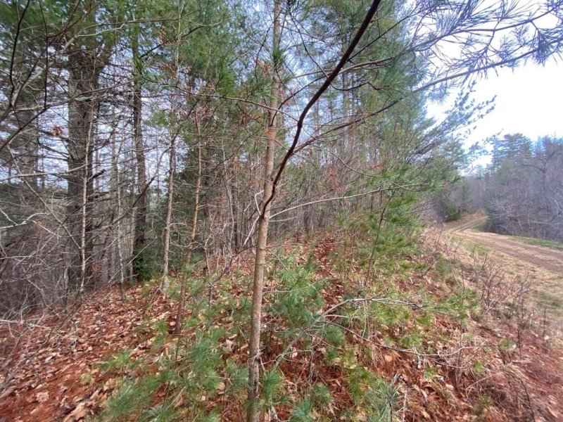 Property image 3 at Lot 40 Sunnyside Drive, Marshall, NC 28753