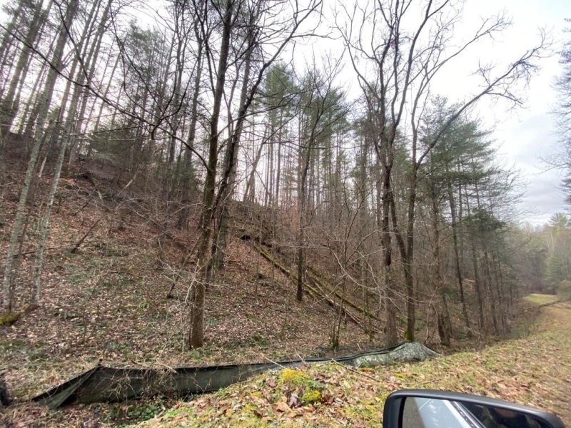 Property image 5 at Lot 40 Sunnyside Drive, Marshall, NC 28753