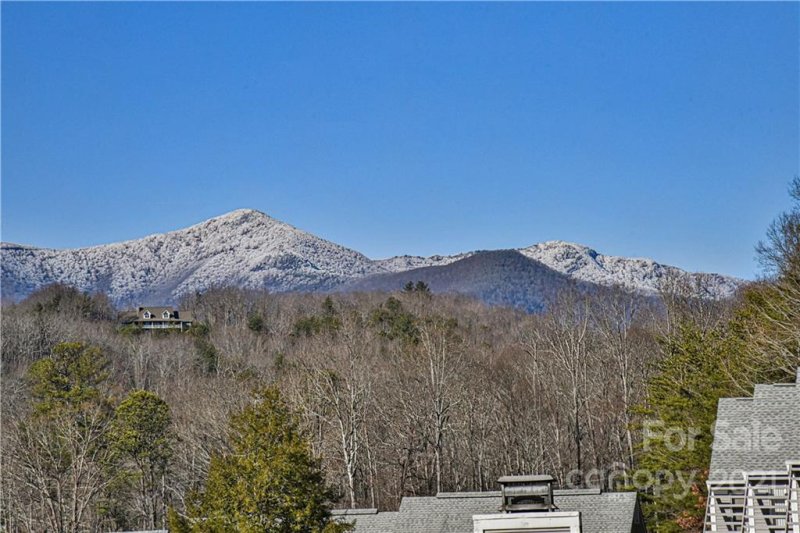 Property image 2 at 3 Lynx Drive, Black Mountain, NC 28711