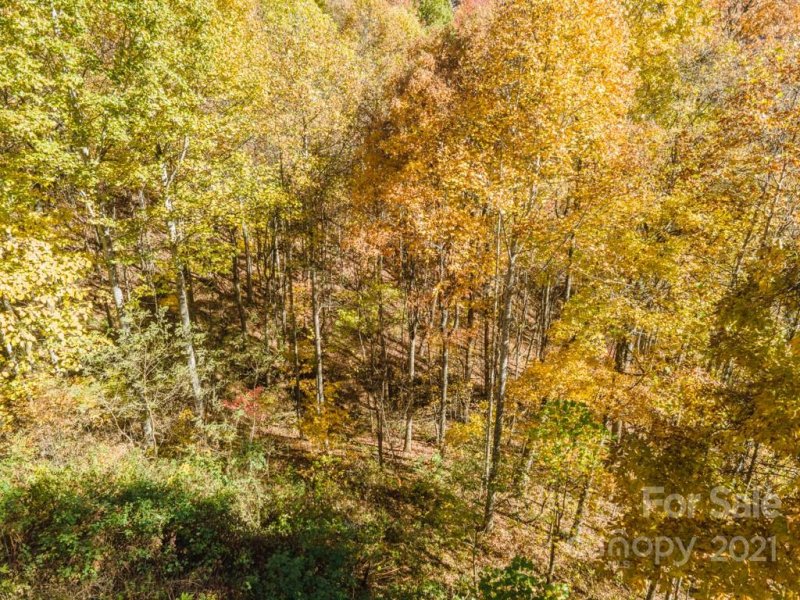 Property image 4 at 99999 Chandra Lane, Clyde, NC 28721