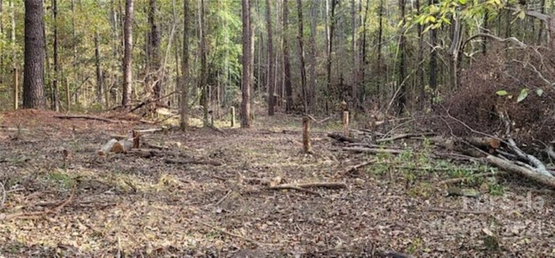 Property image 2 at 1727 Grace Lane, Charlotte, NC 28262