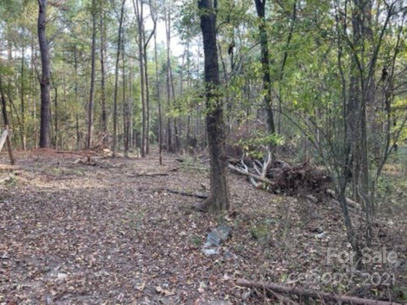 Property image 3 at 1727 Grace Lane, Charlotte, NC 28262